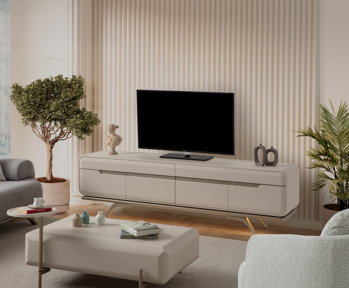 BONJ TV Ünitesi - Görsel 3